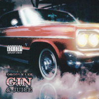 DRODi - GIN AND JUICE