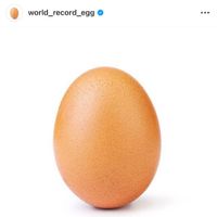 yokoclerc - egg