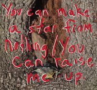 Lifeblood - You can make a star from nothing / You can raise me up