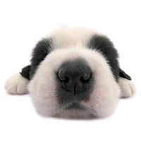 Drixie - Comfortable & Sweetly Produced