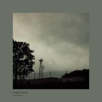sun is poison - Angel Coil Up
