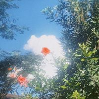 Amar Jackson - Beg me to stay