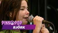 Bj&ouml;rk - Live At Pinkpop 1994
