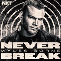 def rebel - Never Break (Myles Borne)