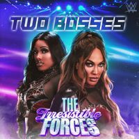 def rebel - Two Bosses (The Irresistible Forces)