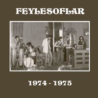 Feylesoflar - 1974-1975