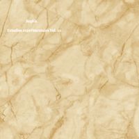 RepliK - Estudios Experimentales Vol. 01