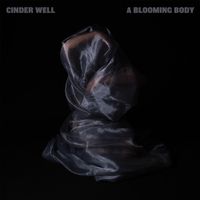 Cinder Well - While the Womb Screams Silently