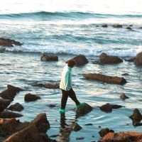 Oxidize - tidepools