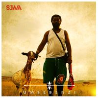 Sjava - Umsebenzi