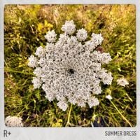 R Plus - Summer Dress