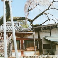Kogane - 2018/2019 Discography