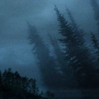 Stargaze - Through The Pines