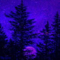 Stargaze - Even The Towers Will Fall