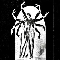 Bellied Star - SPUT