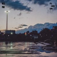 Wild Pink - Still Coming Down