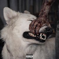 Dark Hardy - Dog Food