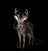 Token - Bambi