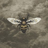 Bees Made Honey in the Vein Tree - Medicine