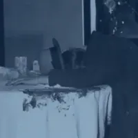 RSJ - The Day After
