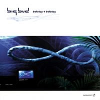 Big Bud - Infinity + Infinity