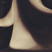 Siamese - sense