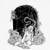KONTRAJELLY - Koprime