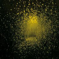 The Antlers - Burst Apart (Deluxe Version)