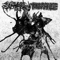 Sulfuric Cautery - TOLERANCE SPLIT