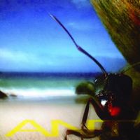 Pittkiid - Ant