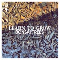 Bonsai Trees - Learn to Grow