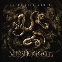 Meshuggah - Shed