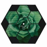 Boards of Canada - Vol.4 - P. Primers - 177 Giraud's Mirror