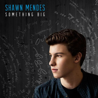 Shawn Mendes - Something Big