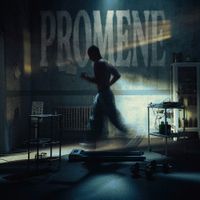 Voyage - Promene