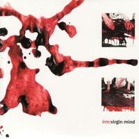 IRM - Virgin Mind