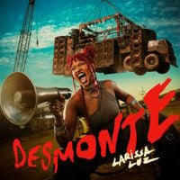 Larissa Luz - DESMONTE
