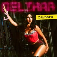 Zaynara - Delirar