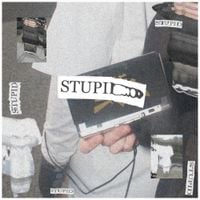 Equal - stupid