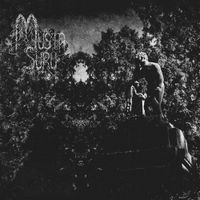 Musta Suru - Viimeinen viilto