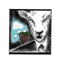 We Weren't Invited - Sheep