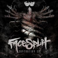 FaceSplit - Contortion