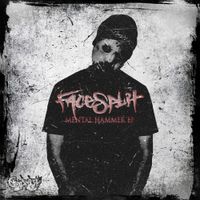 FaceSplit - Mental Hammer
