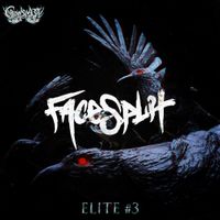FaceSplit - Jjaro