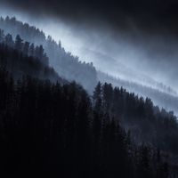 Warmth - Through the Shadows