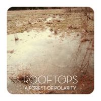 Rooftops - A Forest of Polarity