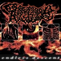 Cryptic Rising - Endless Descent