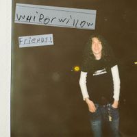 Whiporwillow - Friends!