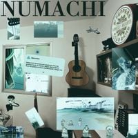 numachi - 2025