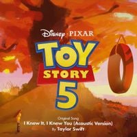 Taylor Swift - I Knew It, I Knew You (Acoustic Version)